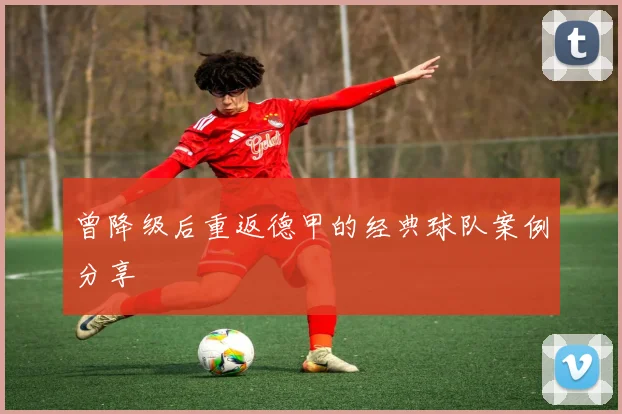 曾降级后重返德甲的经典球队案例分享