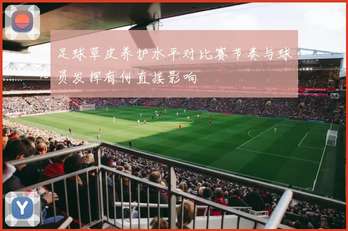 足球草皮养护水平对比赛节奏与球员发挥有何直接影响