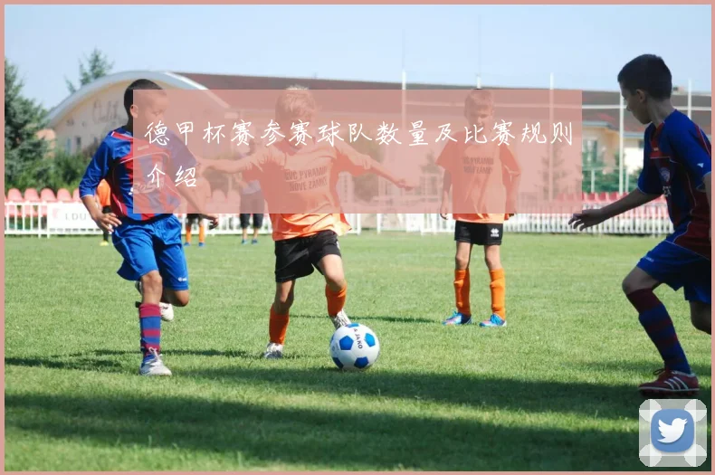 德甲杯赛参赛球队数量及比赛规则介绍